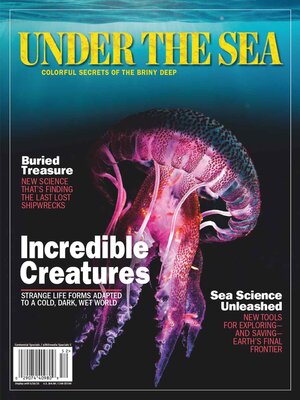 cover image of Under the Sea